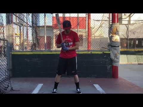 Video of Manuel At The Cages