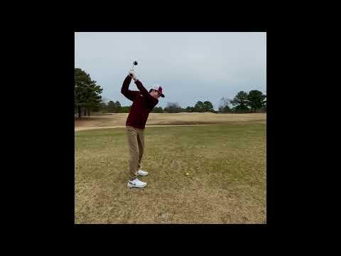 Video of Braden Hermansky Swing Video 