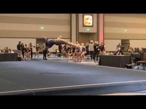 Video of Floor routine level 8