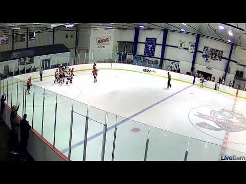 Video of Polar Bears 14U AA 