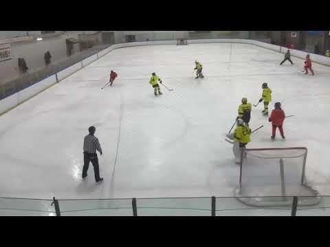 Video of Rochester PIP tournament goal vs NA Prospects#29