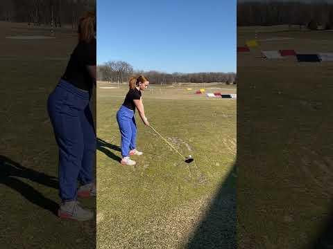 Video of SWING DRIVER