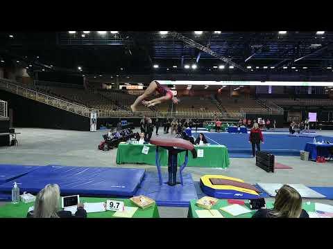 Video of Eastern Nationals Vault