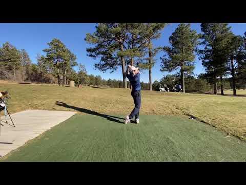 Video of Swing Video