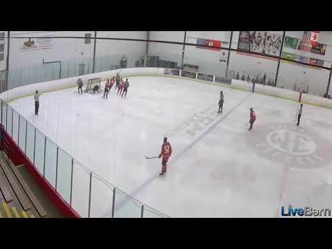 Video of U18 Giants Joey from D Zone skates it up and scores 