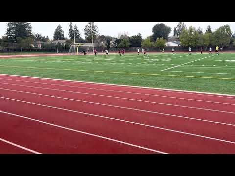 Video of volley goal left foot
