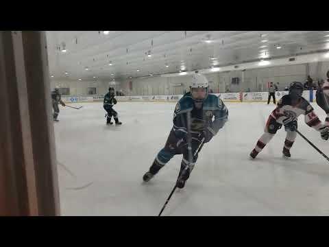 Video of Hockey Highlights (Harper #7)