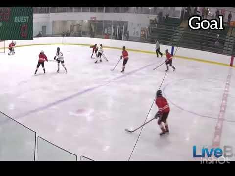 Video of Caitlin Dilley Junior Year Hockey Highlight Tape