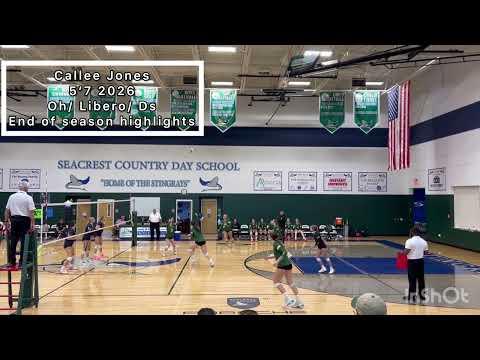 Video of End of sophomore high school season highlights
