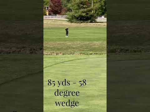 Video of Golf Highlights