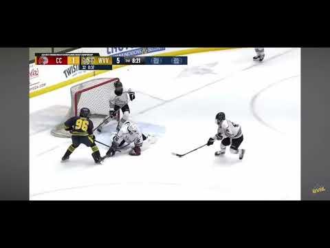 Video of 2nd Period Saves From When I Got Thrown In