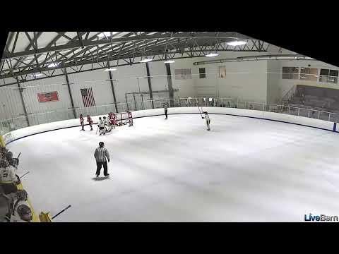 Video of Backhanded goal after scrap in front of net against Vermont Dynamo (White Jersey #15) (December 2022: Valley 14U v 