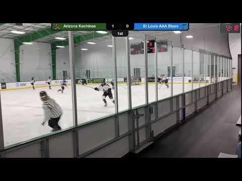 Video of Davy Mokelke 2021 hockey highlights 