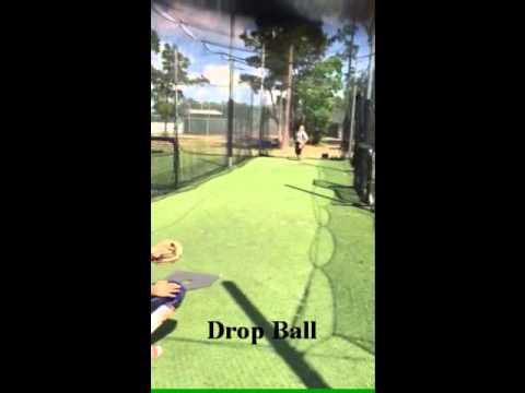 Video of Stephanie Reed 2017 Pitching Skills Video