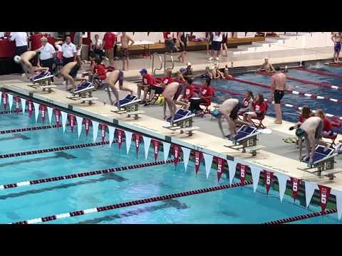 Video of Zach Zishka 2018 LCM State 400M Free Yellow Capv2