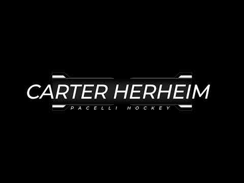 Video of Hockey Goalie Carter Herheim 2022 playoff game