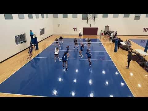 Video of Maggie Craker 2021 Setter