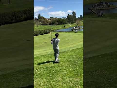 Video of Chipping 