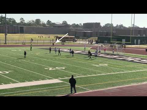 Video of Avy Goal 