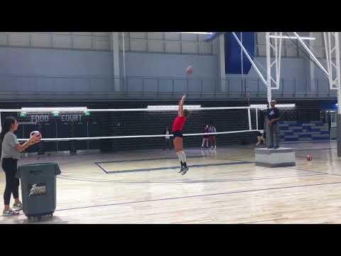 Video of Maddie Dease Setter/RS Skills Video December 2017