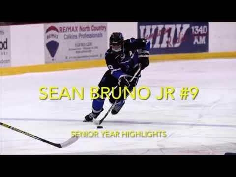 Video of Sean Bruno(Senior Year Hockey Highlights)