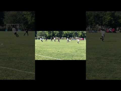 Video of 2023 Crossfire Select  #34 White/Black/Green 