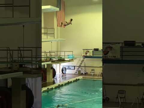 Video of platform dives