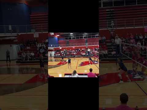 Video of 11 - Setter - Blue