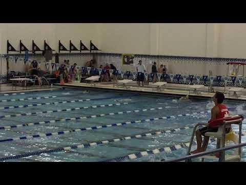 Video of 100 fly 