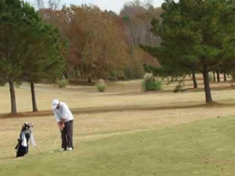 Video of Front of the green chipping