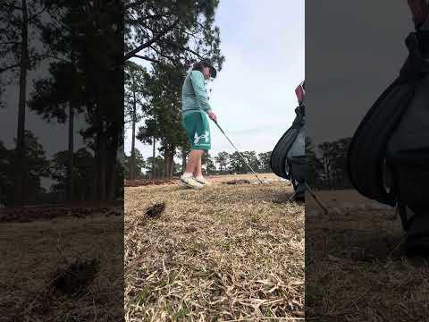 Video of Practice with my 7 iron