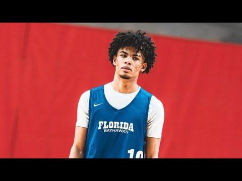 Video of (24pts) Caleb Maisonet (FL Bayhawks) Vs. Southeast Elite Adidas 3SSB Gold