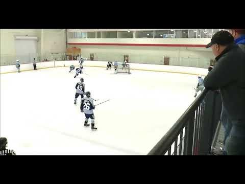 Video of 2021 American Hockey Academy Highlight Film