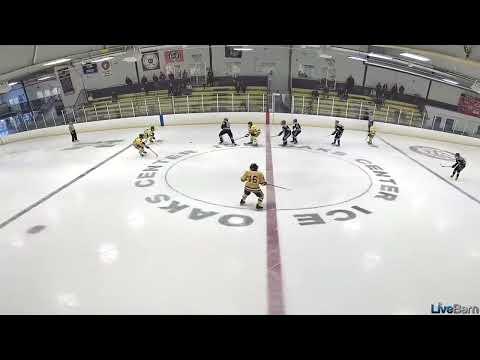 Video of Forced Turnover and Goal