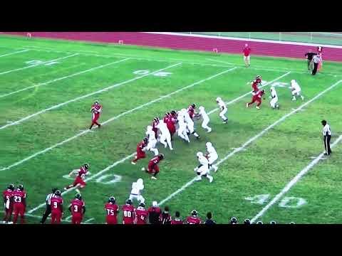 Video of Liam Cogliano Freshman/Sophomore Years Football Highlights