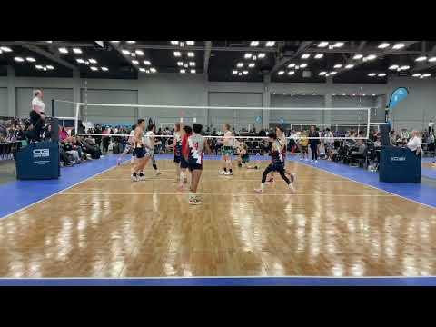 Video of 2024 January Highlights