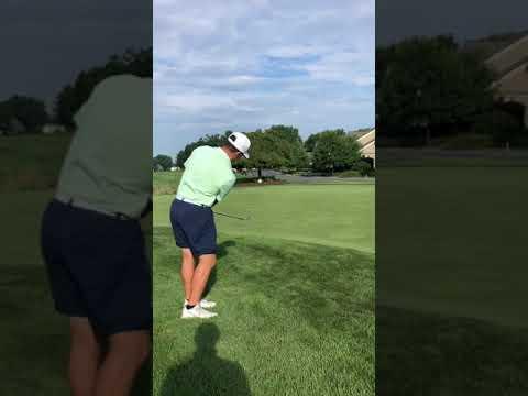 Video of Chip Shot - Down the Line