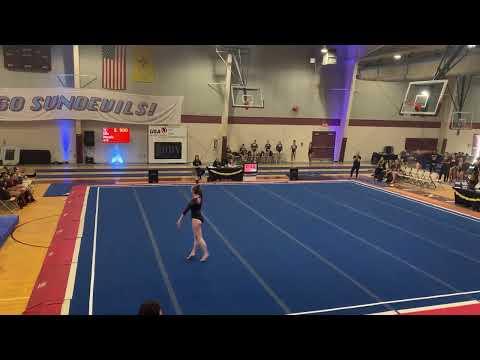 Video of Sydney Cook - L8 / 9.375 '23 NM State Meet 