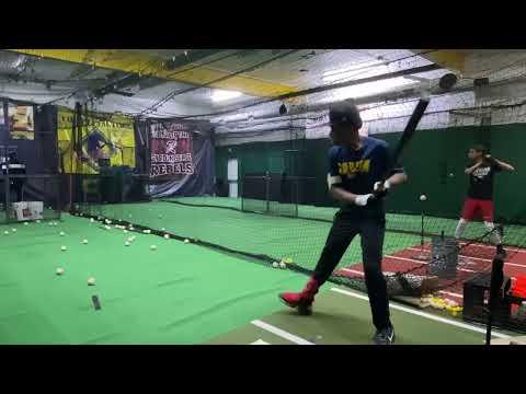 Video of in-cage swings