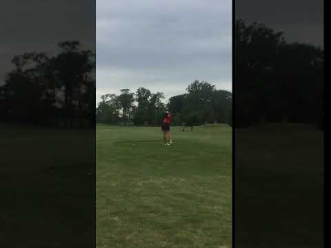 Video of Golf-Driver Swing