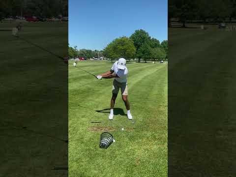 Video of Iron Swing(front)