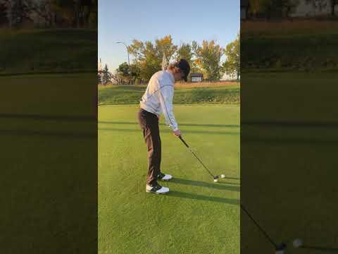Video of Putting down the line