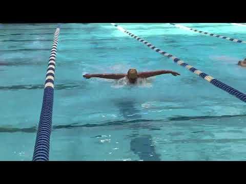 Video of 100 Fly