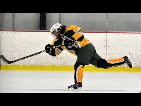 Video of Elizabeth Furfari - Ice Hockey Recruiting Video 2017