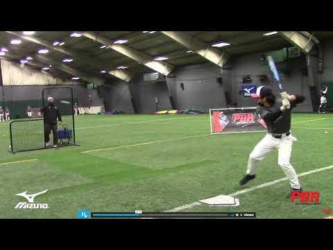 Video of PBR Feb 2021 Showcase