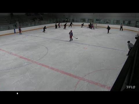 Video of CAJHL S.A. Mustang vs Timberwolves Highlights