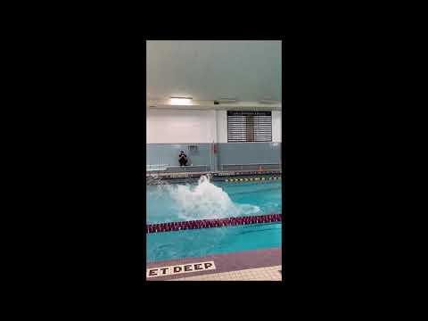 Video of Luke Albanese Diving Recruiting Video