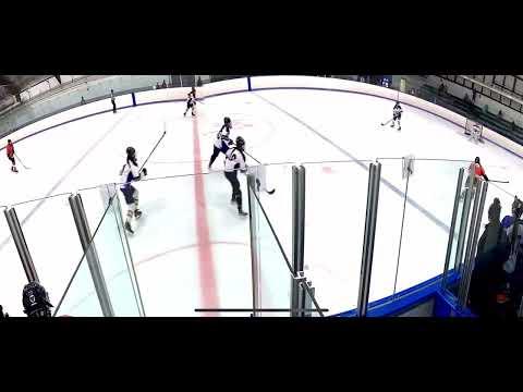 Video of 2023-2024 season hockey clips
