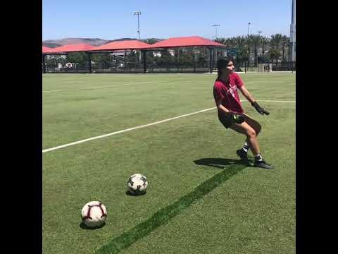 Video of Emily Sanchez Training Session 8/2020