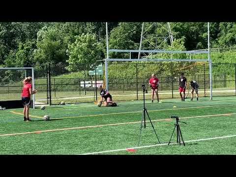 Video of training sessions - spring 2020